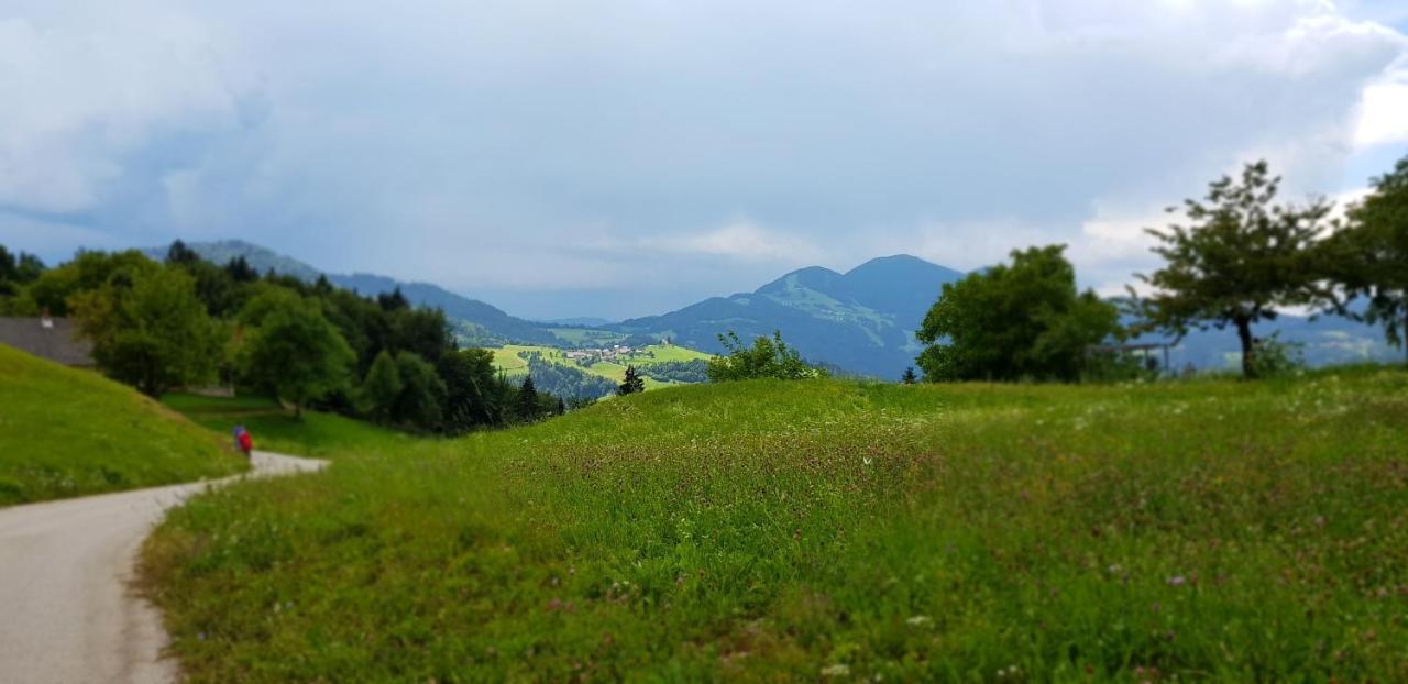 Apartma Pri Bostjanu Skofja Loka Bagian luar foto