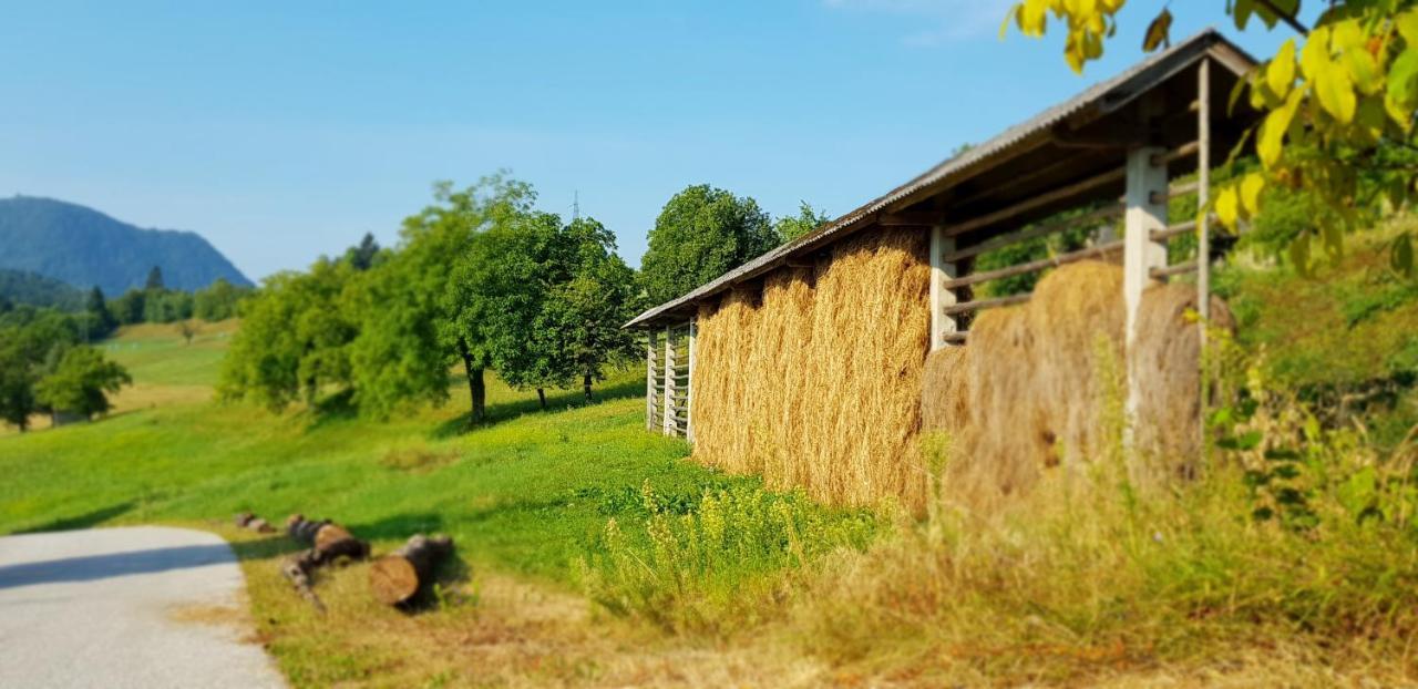 Apartma Pri Bostjanu Skofja Loka Bagian luar foto