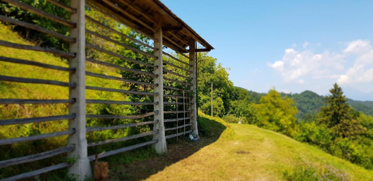 Apartma Pri Bostjanu Skofja Loka Bagian luar foto